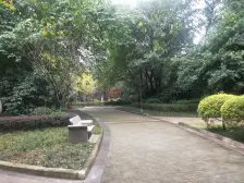 弹子石CBD,户型方正采光好,看房方便。