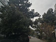 品质小区,洋房中间楼层,人人都喜欢的,诚心出售