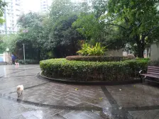 杨公桥 华宇西城丽景三房159万