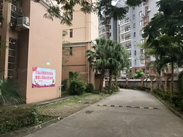 南海绿洲