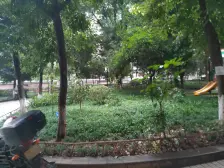 杨公桥 大川花园二房52万