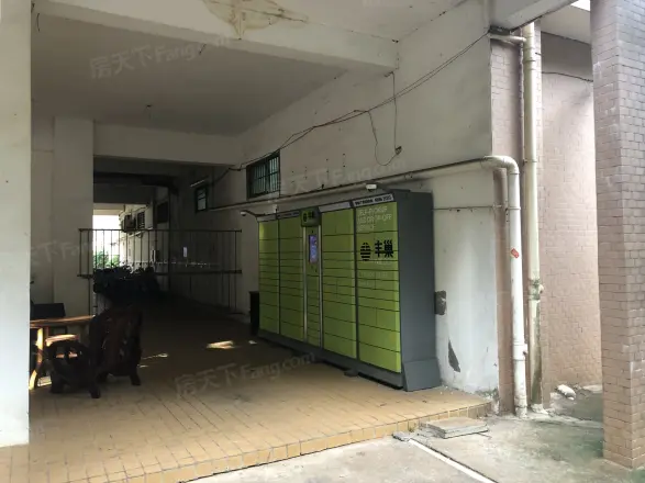 南海绿洲