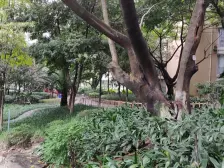 石坪桥 骏逸新视界二房110万