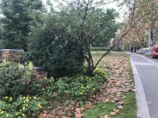 茶园新区 融创伊顿濠庭一房50万