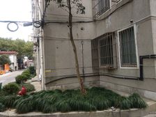 近步行街,中间楼层,诚意出售,一梯两户