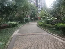 CBD校旁精装小两室 环境优美 装修好