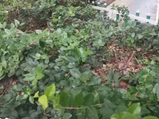 电梯两房,中山医院旁,配套齐全