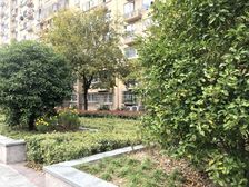 新出+滨浦新苑五村+电梯一房+业主诚意出售