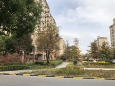 滨浦新苑五村1室1厅南