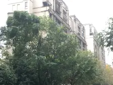 协信城立方玺院 4室1厅 东南