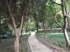 御景天成 1室1厅 南