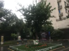 花卉园 保利椰风半岛三房110万