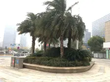 红谷滩万达广场 南北通透,采光好 装修好,环镜优美 近地铁 中间楼层