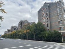 植物园旁水清木华洋房复式精装修山景园景尽收眼底