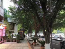 正规一室一厅 位置核心