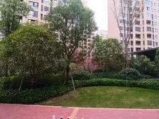 远洋万和四季 3室2厅 南