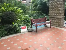 加州新牌坊 伟清泊客二房77.7万