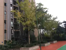 龙溪镇 伟清泊客 正规一房 户型方正