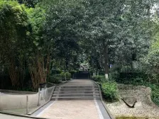 石桥铺 华宇名都城一房