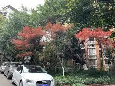 石桥铺 华宇名都城一房66万