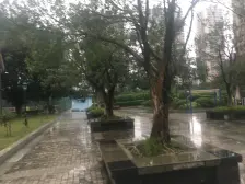 龙溪镇 金岛花园一房40万