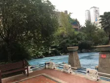 加州新牌坊 伟清泊客三房96万