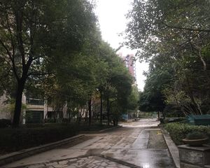 星城世家4室2厅南