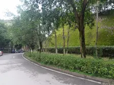 板式洋房顶跃,居家装修,带大露台,近门口,出行方便