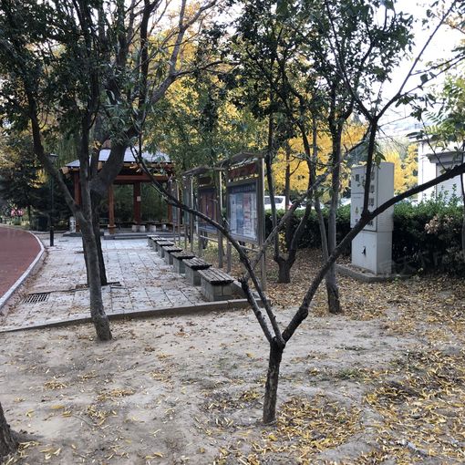 龙泽苑西区3室1厅1卫南北朝向7500.00元/月出租