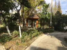 易家桥新村 贰号院 采光好 出路好