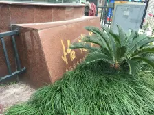 八月桂林 2室2厅 南