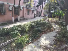 易家桥新村 2室1厅 南