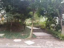 茶园新区 江南小区三房104万