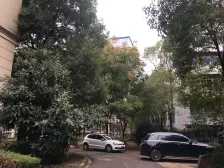 红谷世纪花园C区 2室2厅 南