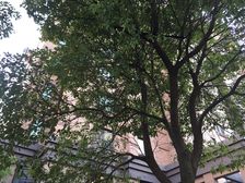 新上!刚需必看,毛坯房,随意装修,南北通透