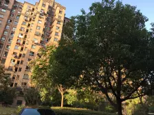 产权清晰,刚需上车 现场实勘 急售房源 精装全送