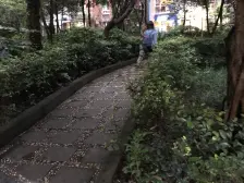 大坪 嘉华鑫城三房164.8万