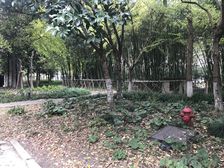 电梯房,双阳台,环境优美,交通便利,精装修,房型正气