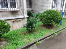 纯商品房小区,顶楼复式,带露台,得房率高,可谈