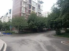 茶花小镇 1室1厅 南