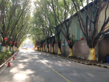 海杨城3-2-1-2 99.91m2