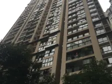 锦江郦城总高8层小高,全新装修正规一室,拎包入住