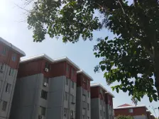 茸南苑 2室1厅 南