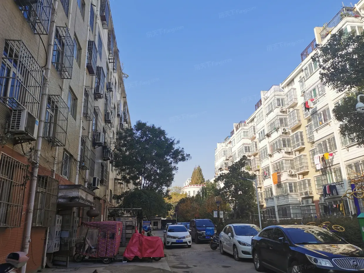 江晨园