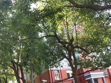 醉白池地铁站+茸南苑+云间粮仓+中山街道+环城菜场