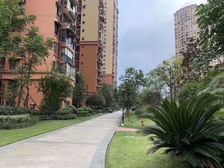南门坝蓝光香江国际大三房三梯六户