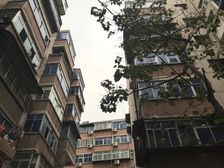 低楼层,大三室,有天然气,单价低