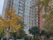 朝南一室 位置便利 鑫苑物业 管理完善 无贷款