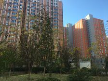 立水桥2008年商品房小区,东南两居室,户型好