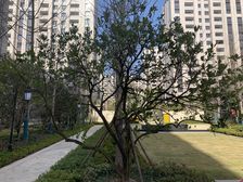 东亚威尼斯公馆2室1厅南北